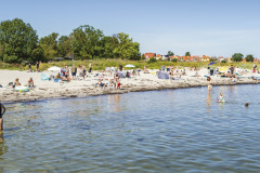 1130_Stranddag_TSN_L9990979-1