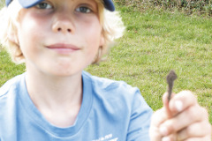 Gevinsten efter gravearbejdet. Foto: TorbenStender.