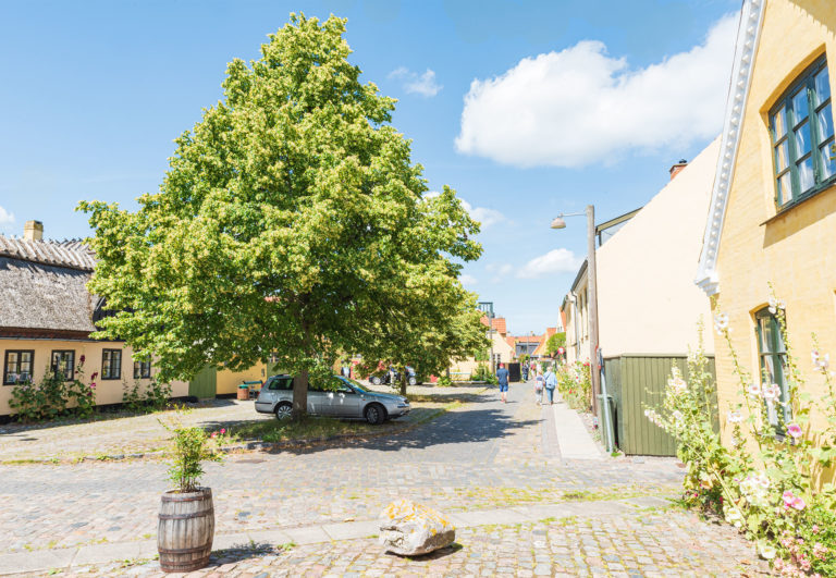 Fogdens Plads anno 2019. Foto: Thomas Mose.