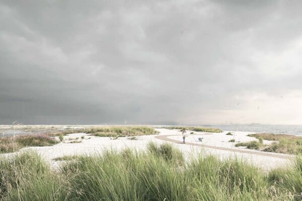 Arkitema og COWI’s forslag til strandenge med stisystem ved Søvang.