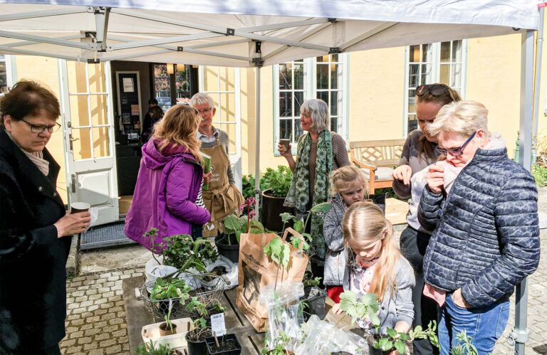 Plante-bytte-dagen på Drag­ør Bibliotek giver mulighed for at få ny viden om planter – eller for at dele den, man har, med andre.