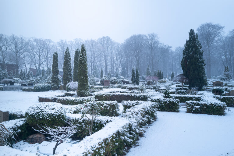 Foto: TorbenStender.