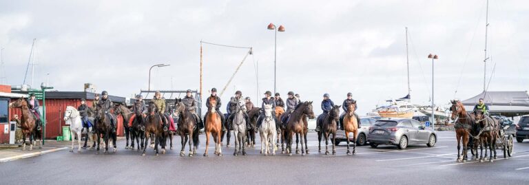 En større gruppe ryttere fra Dragør Fastelavnsforening var søndag eftermiddag ude og træne inden den traditionsrige fastelavnsridning søndag den 27. februar. Foto: TorbenStender.