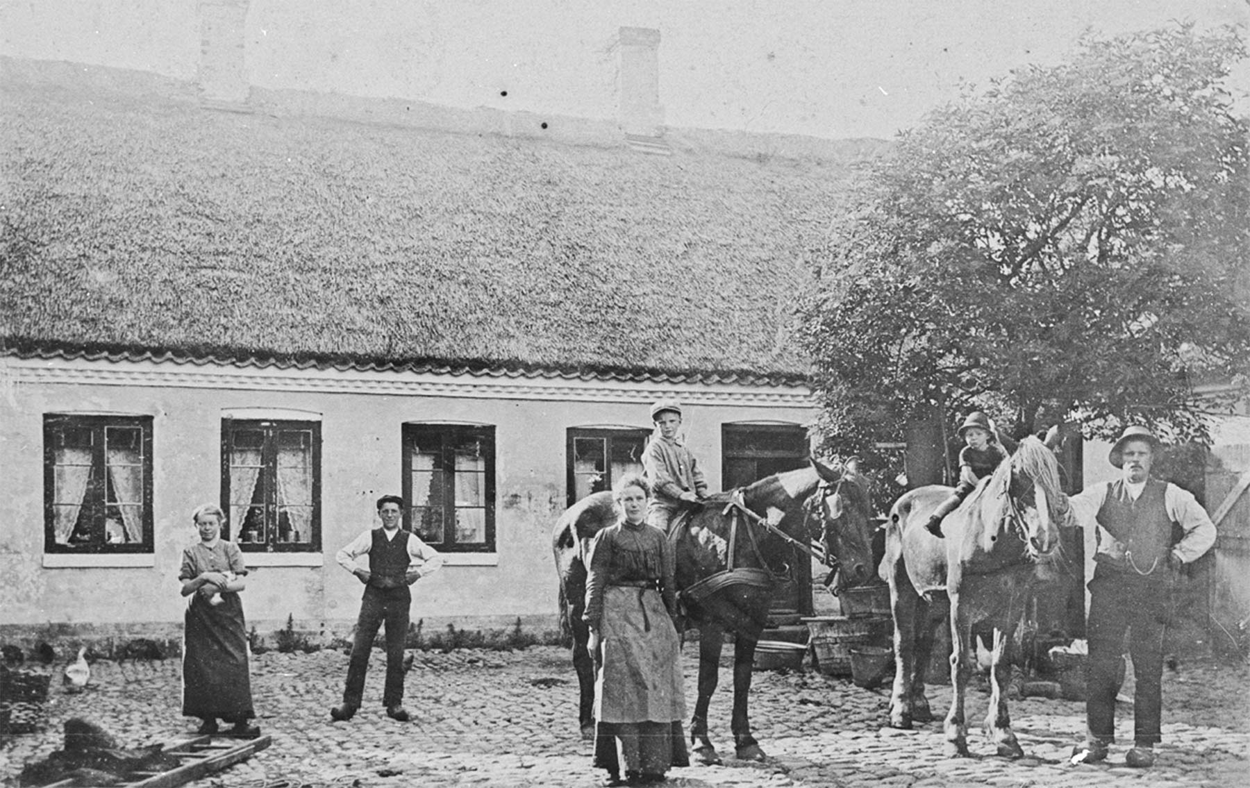 Gården Bachersminde, Fælledvej 61. Cirka 1912–1913. Foto: Historisk Arkiv Drag­ør.