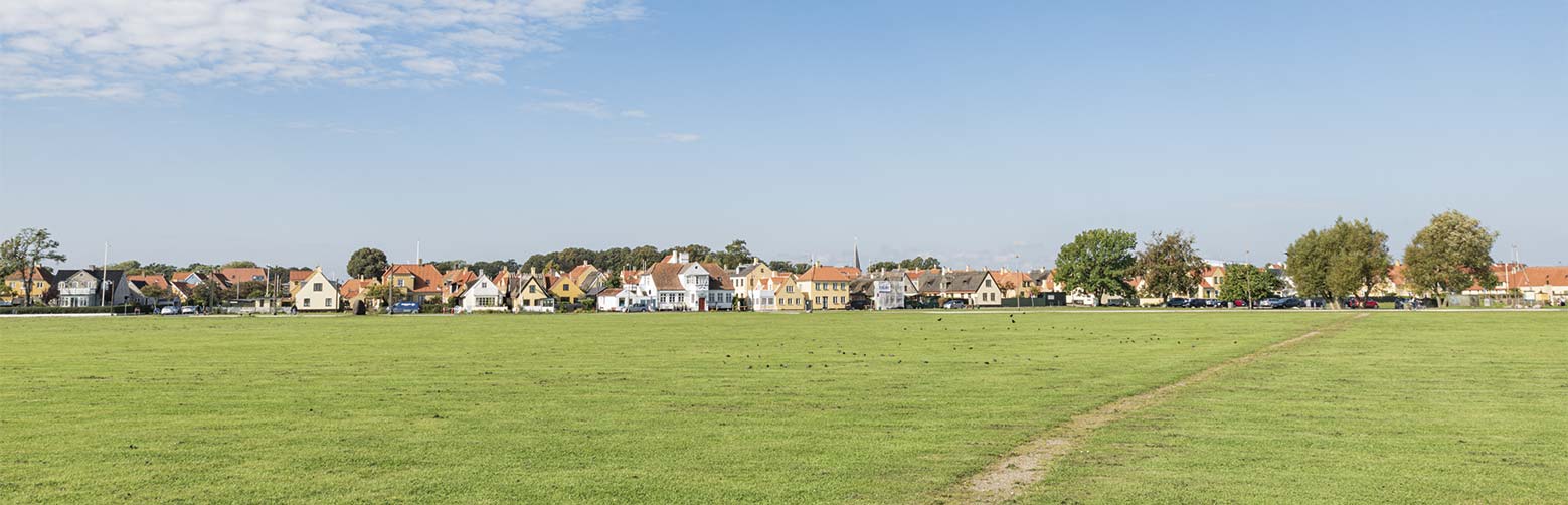 Vej og Park ved Dragør Kommune vedligeholder uden gift et samlet areal på cirka 3 mio. m2. Arkivfoto: Thomas Mose.