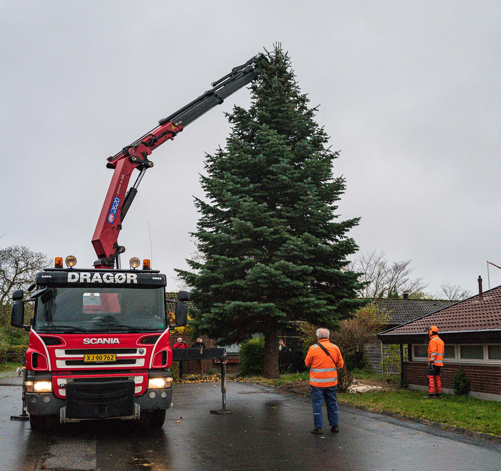 Beboere på Kronager donerer i år et flot juletræ som gave til rådhuset – og også her kræves brug af kranvogn. Foto: TorbenStender.