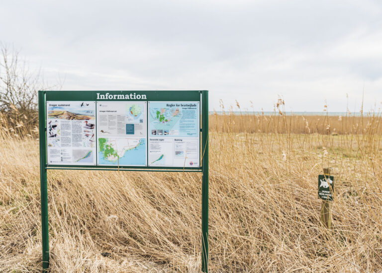 Flere steder i Dragør Kommune gælder der særlige regler for luftning af hunde. Det er derfor vigtigt for hundeejere at holde øje med skiltningen. Foto: Thomas Mose.