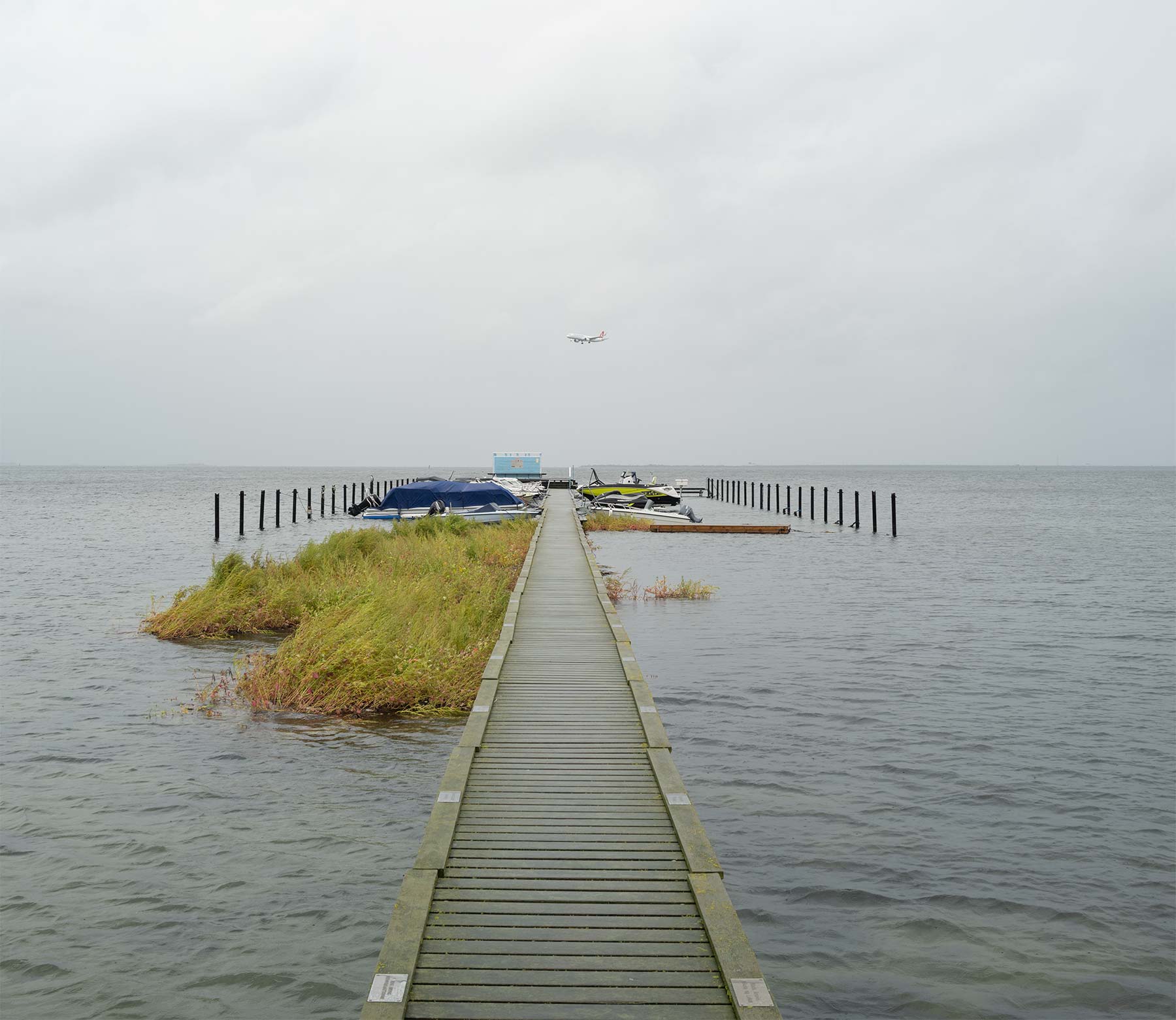 Løsrevende planter har skabet et »dige« på Nordstranden. Foto: TorbenStender.