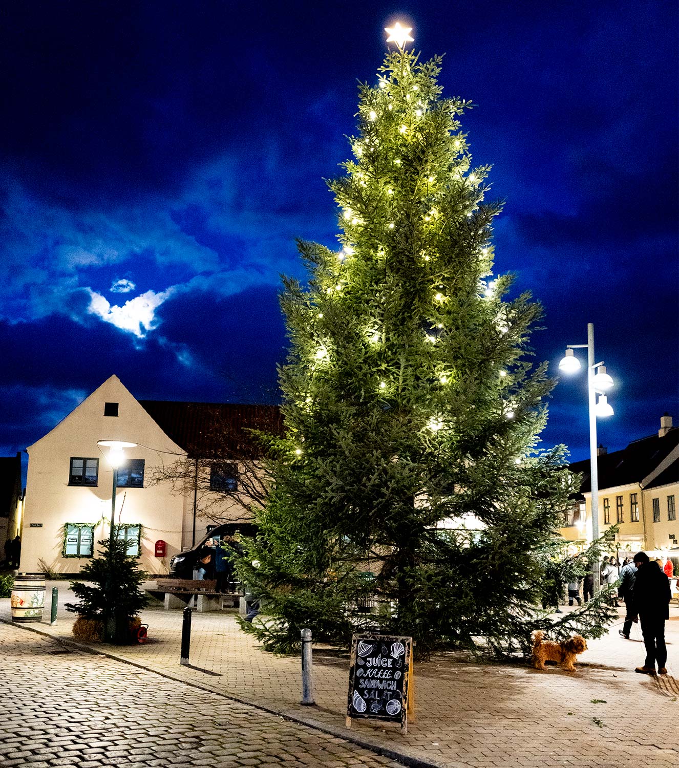 Juletræet lyser op i mørket. Foto: TorbenStender.