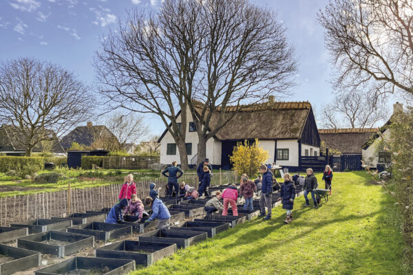 Der er fuld gang i at plante skolehaverne. Foto: Museum Amager.