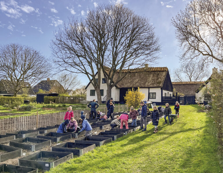 Der er fuld gang i at plante skolehaverne. Foto: Museum Amager.