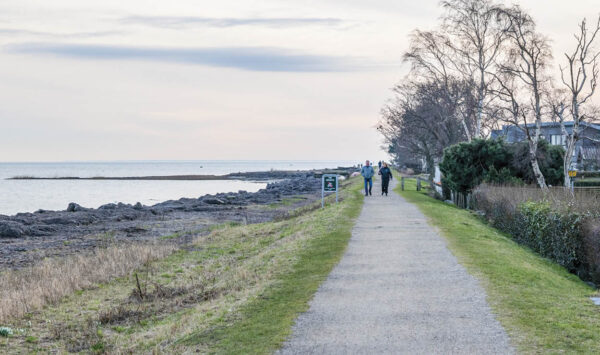 Dragør Kommune forventer at kunne tage beslutning vedrørende digerne omkring Søvang, Sydvestpynten og Kongelunden, når der står november 2024 i kalenderen. Arkivfoto: TorbenStender.