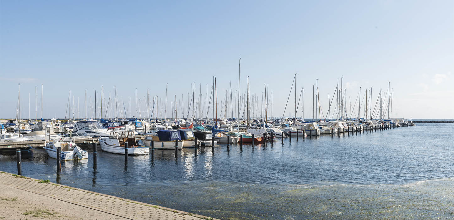 Nye støjregler på Dragør Havn gælder i perioden fra 1. maj til 1 september. Foto: Thomas Mose.
