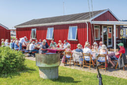 Deltagerne i Drag­ør Borgerforenings sommerfest spiser frokost i solen på Dragør Havn. Foto: TorbenStender.