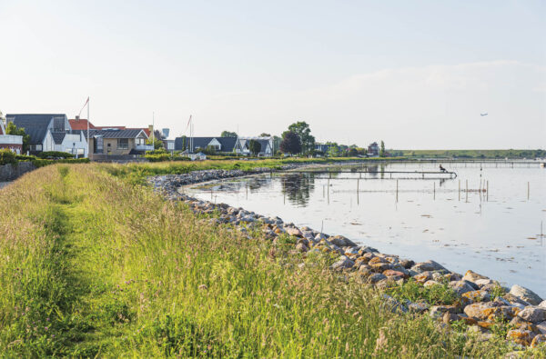 Dragør Nordstrands Kystbeskyttelseslag vil helst ovedrage vedligehold og reparation af diget til kommunen Foto: Thomas Mose.