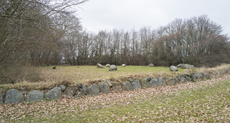 Nær byen vil der i fremtiden komme flere små skovområder, som det kendes i dag fra Dragør Lund. Arkivfoto: TorbenStender.