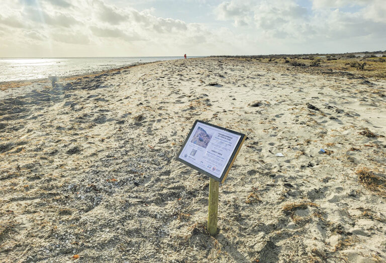 Et 100 meter langt stykke af stranden ved Kofoeds Enge er udlagt som forsøgsområde. Foto: Dragør Kommune.