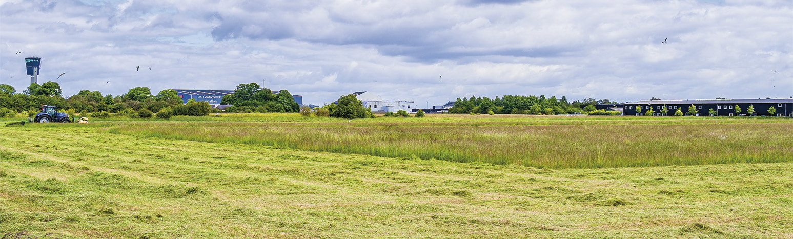 Liste T afviser Mileways nye projekt i det kommende erhvervsområde. Arkivfoto: TorbenStender.