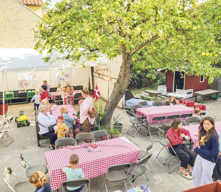 Det flotte jubilæum fejres på børnehavens legeplads. Foto: Tim Panduro.