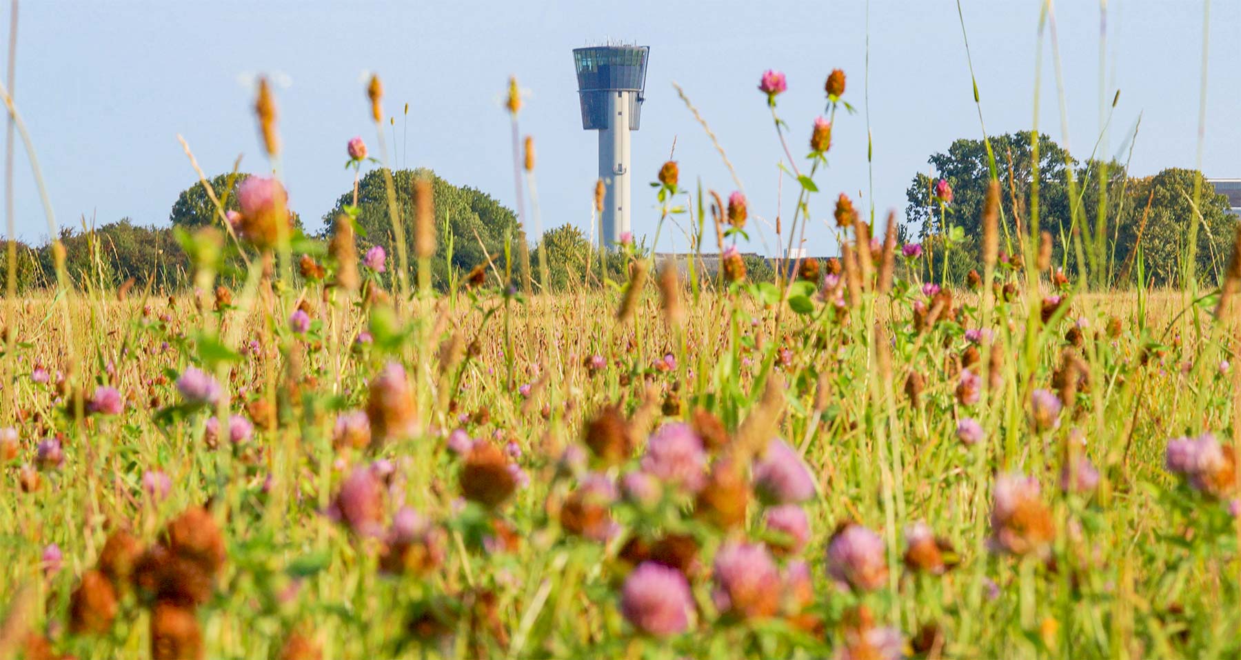 Dragør Industriby skal bygges i landzonen mellem lufthavnen og Nordre Dragørvej. Foto: Kenneth Olsen.