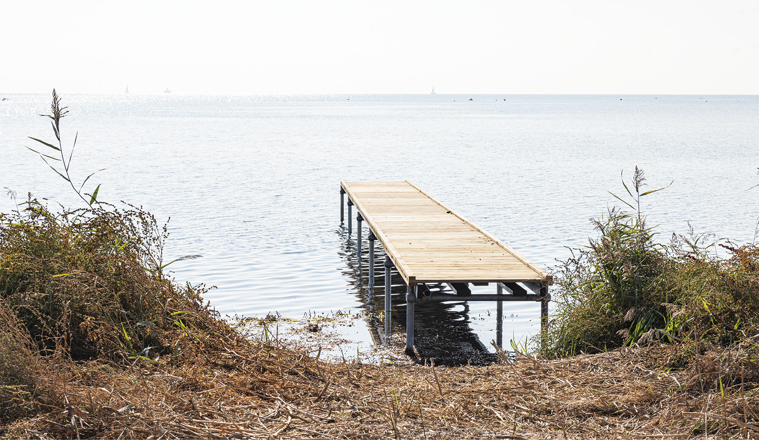 Den nye bade- og kajakbro på Sydstranden er lavet af præfabrikerede bromoduler i fyrretræ. Den er 1,2 meter bred og må blive op til 30 meter lang. Foto: Thomas Mose.