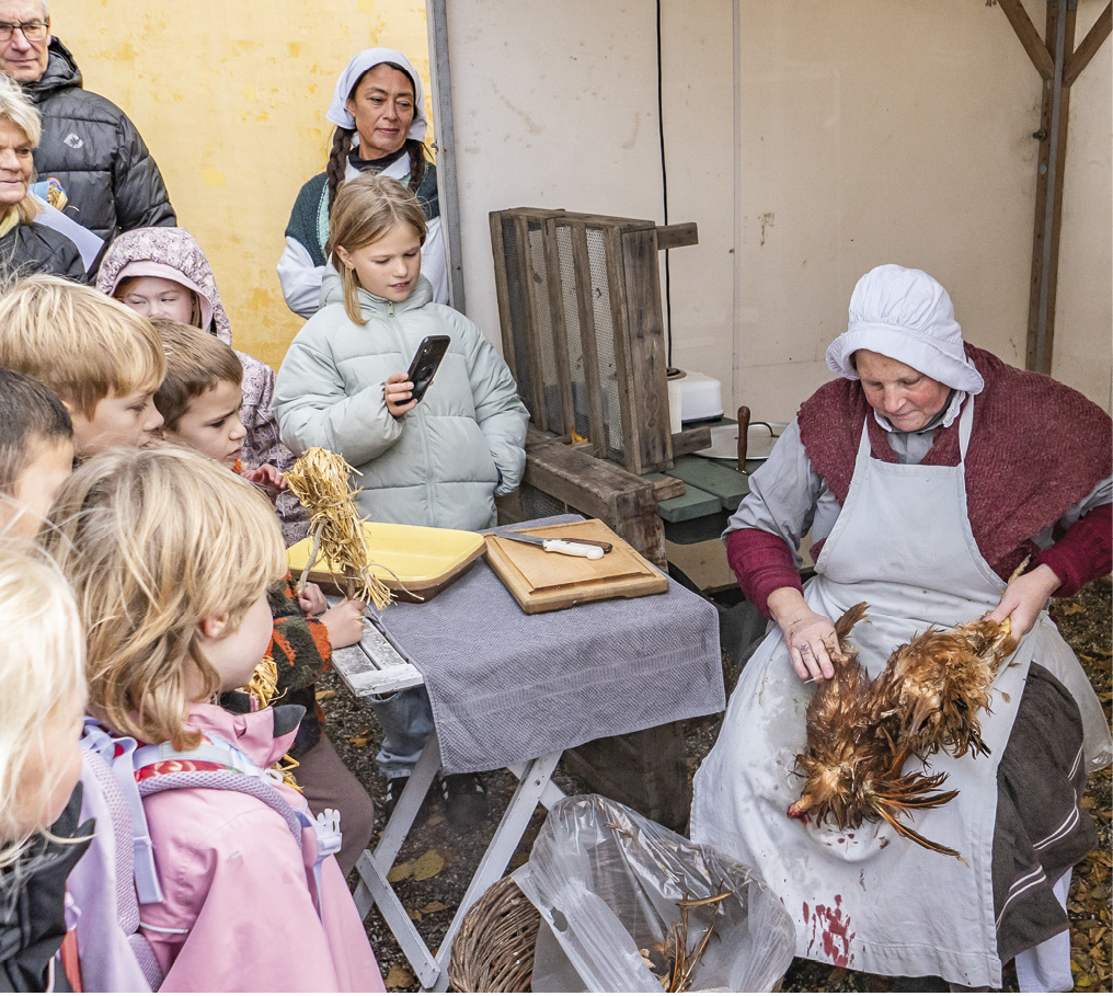 Foto: TorbenStender.